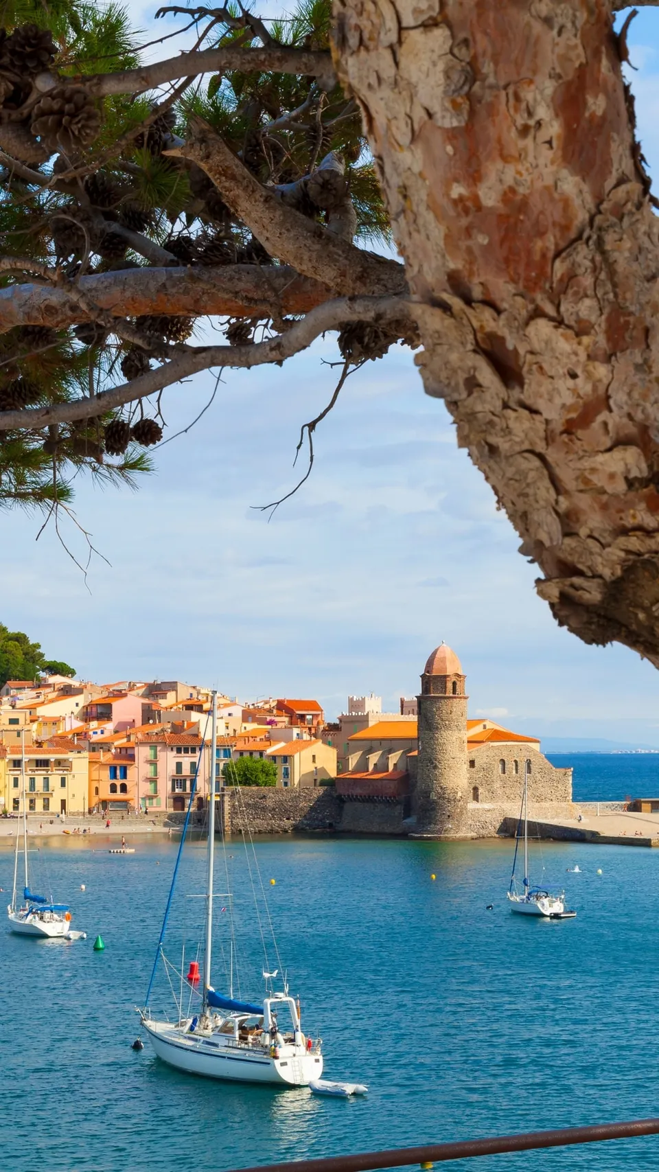 Lambert on the beach in Collioure